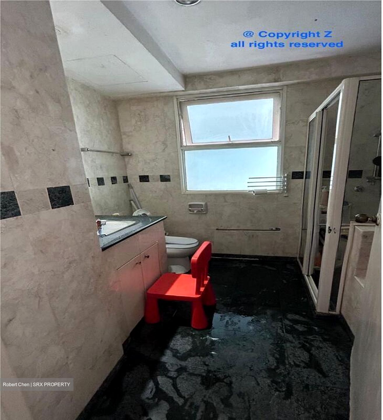 Evergreen Park (D19), Apartment #495700941